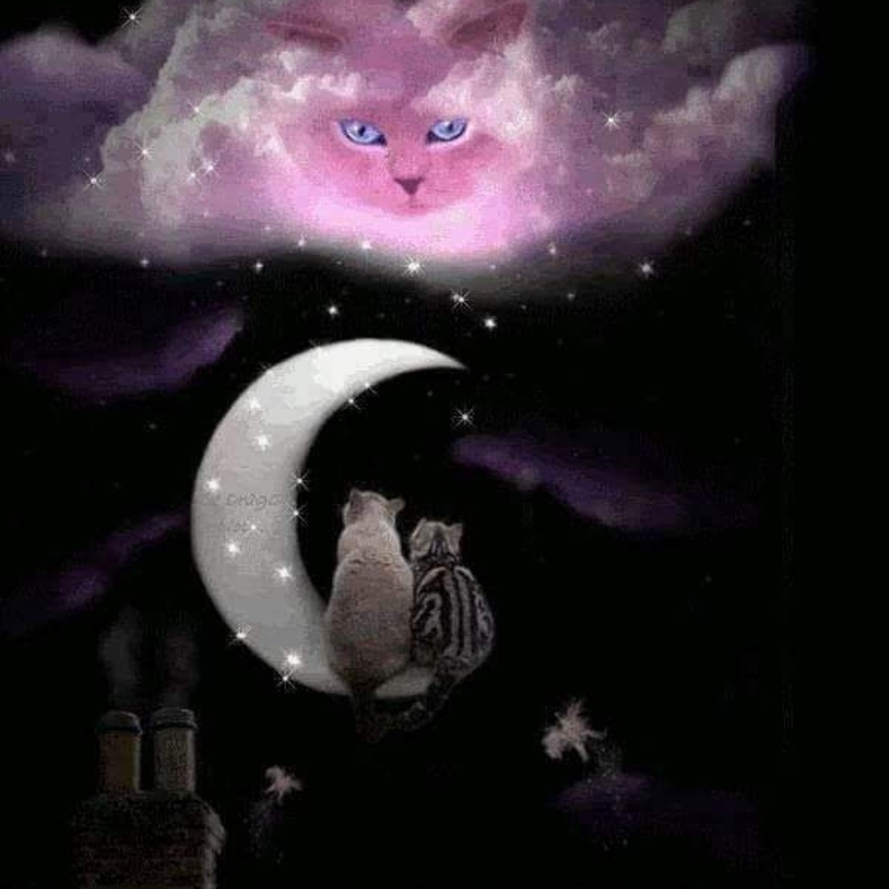 Meet your Posher, Tonya